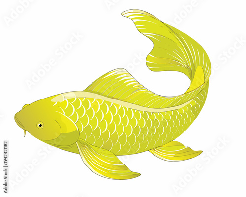 A vibrant yellow koi fish illustration with detailed scale patterns