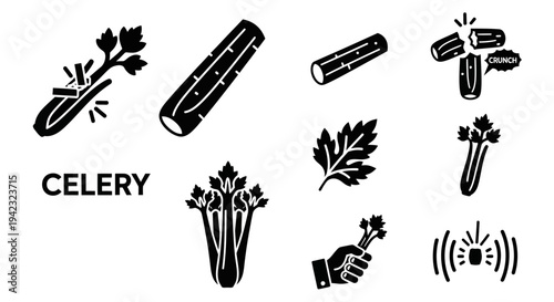 Celery icons, vegetable illustrations, black line art, food symbols, 8 icon set