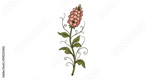 Elegant Floral Illustration - A Detailed Botanical Study of a Blooming Plant.