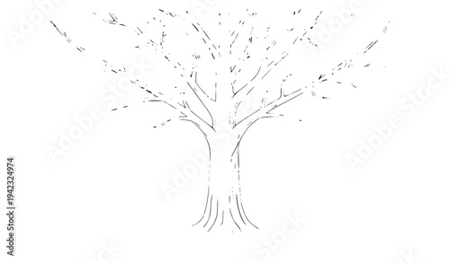 Beautiful ginkgo tree with vibrant yellow autumn leaves falling isolated on white seasonal nature vector illustration