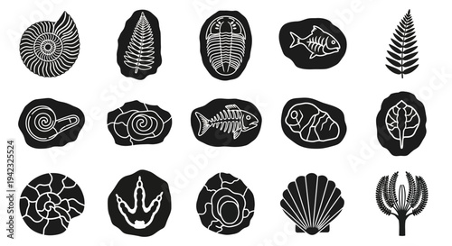 Fossil icons, ancient sea creatures, black and white illustrations, 15 vector graphics