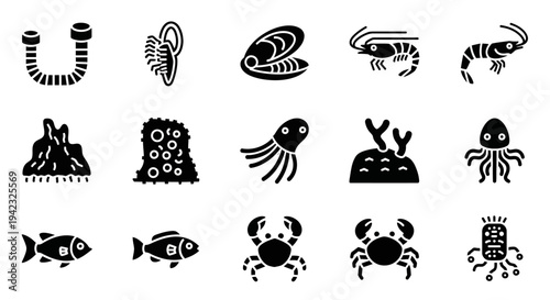 Seafood icons, ocean creatures, black silhouettes, vector set of 13