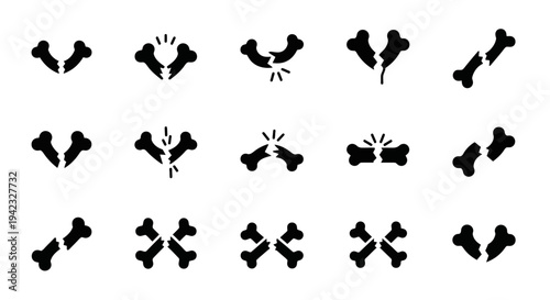 Dynamic Illustrations of Bones in Various Angles and Motions on a Neutral Background from Different Viewpoints