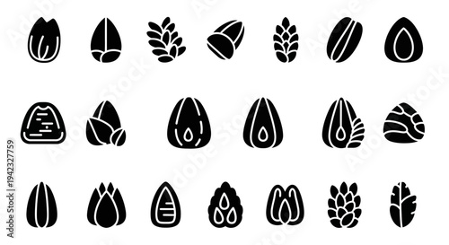 Collection of various seed icons in black and white, showcasing different types and designs in a grid layout