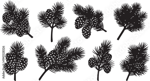 Black Silhouettes of Pine Trees with Cones Isolated White