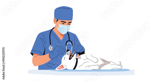A male veterinarian in blue scrubs and a mask is performing a dental examination on a small white dog.