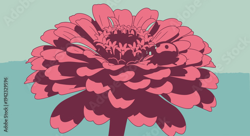 Stylized Zinnia Flower Illustration in Shades of Pink and Burgundy.