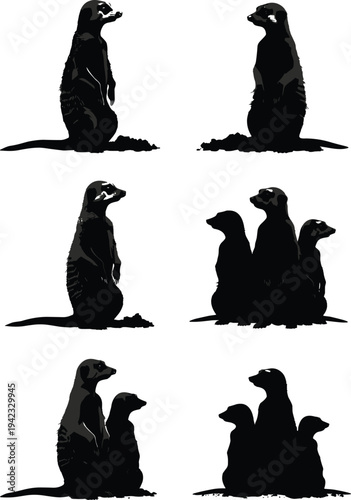 Meerkat silhouette collection with standing and group poses isolated on white background, wildlife animal illustration set for nature design, mascot, zoo graphics