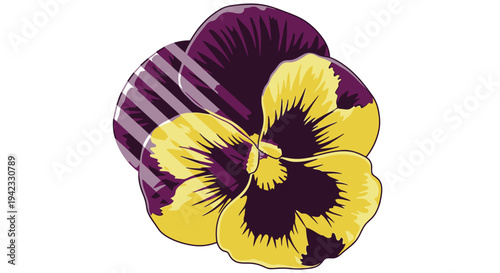 Vibrant Pansy Flower Illustration with Yellow and Purple Petals.