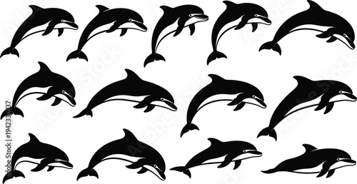Dolphin silhouette collection showing jumping dolphins in different poses, marine animal vector set, ocean wildlife illustration, aquatic mammal design isolated on white background