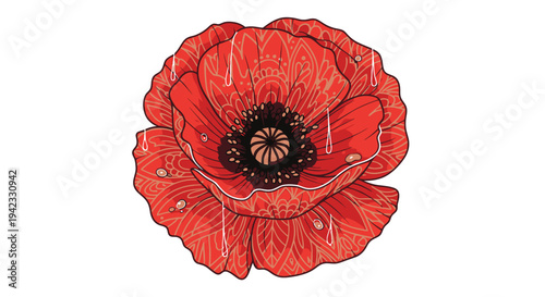 Vibrant Red Poppy Flower with Detailed Black Center Illustration.
