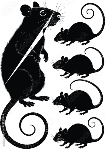 Rat silhouette collection with standing and running poses isolated on white background, detailed rodent illustration set for wildlife design, pest control concept and mascot