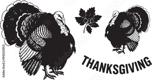 Black and white illustration of turkeys for Thanksgiving celebration