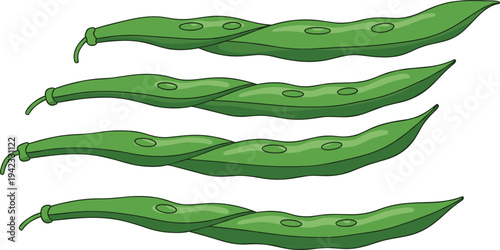 Fresh green bean pods vegetable illustration set organic farm legume food ingredient healthy nutrition garden harvest natural green beans vector