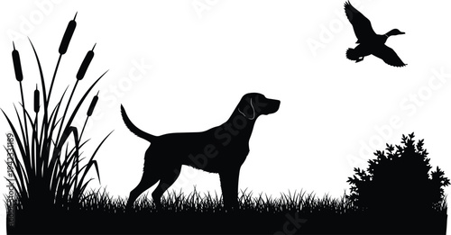 Hunting dog silhouette standing in grass near wetland reeds with flying duck, outdoor hunting scene illustration, nature wildlife landscape vector isolated