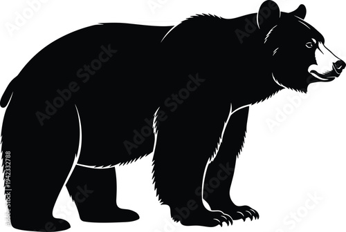 Black and white bear silhouette illustration showing strong muscular build, thick fur texture, and distinct facial features, perfect for wildlife, nature, and educational design projects