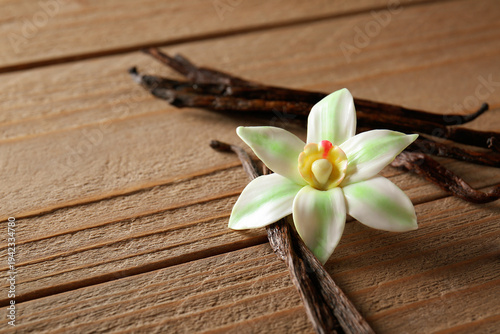 Vanilla sticks and flower o...