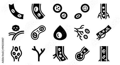 Collection of Simple Black and White Medical Icons Representing Various Cells and Biological Processes