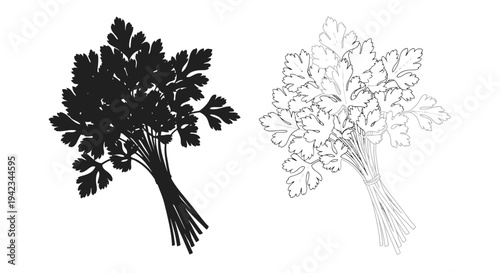 Two bunches of fresh parsley depicted in contrasting black and white styles