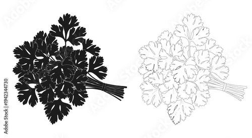 Two bunches of parsley displayed in contrasting black and white tones