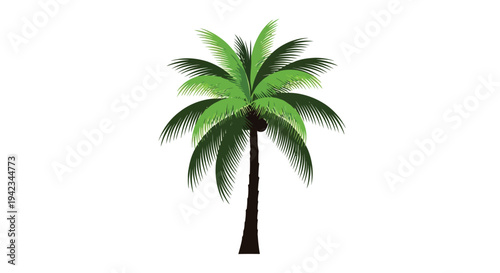 Illustration of a vibrant green palm tree against a plain white background