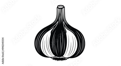 A black and white illustration of a whole bulb of garlic