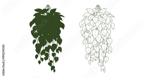 Hanging plant illustration a colored and a line art version