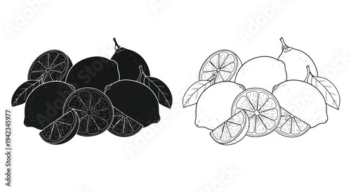 Stylized illustration of limes whole halved and sliced in black and white
