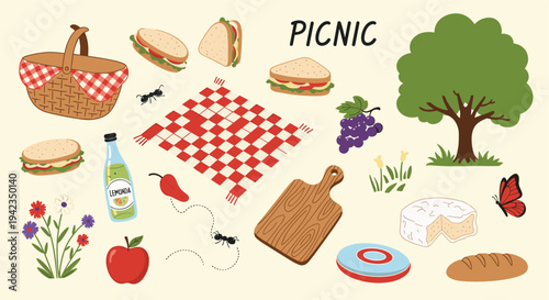 Picnic Basket and Food on Red Checkered Blanket Outdoors