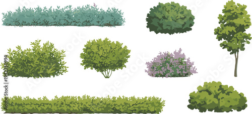 Green garden bushes and shrubs collection, landscaping hedge foliage plants isolated vector illustration for park landscape design
