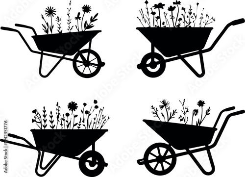 Wheelbarrow loaded with cut flowers for market stall