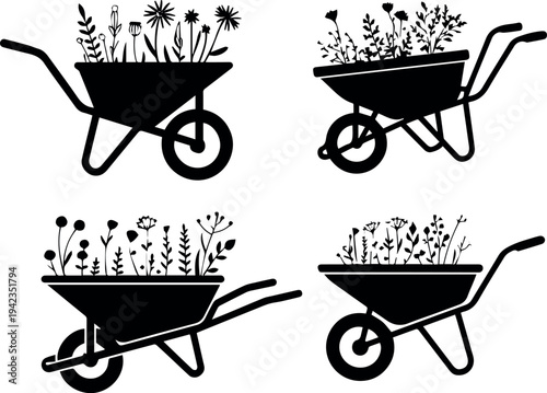 Wheelbarrow with succulent pots and cactus stems