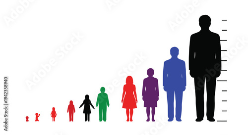 Illustrative depiction of human growth stages from infancy to adulthood