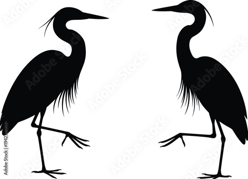 Pair of elegant heron bird silhouettes, mirrored crane wildlife vector illustration, graceful wading birds isolated, nature animal symbol design artwork