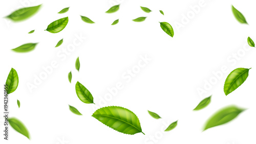 green leaf flying vector background