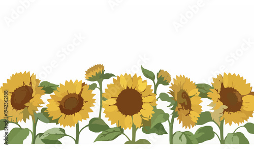 Sunflower Floral Border Vector Illustration with Bright Yellow Sunflowers and Green Leaves