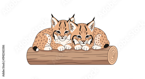 Two adorable spotted lynx kittens with ear tufts are comfortably resting together on a textured brown log on a white background.