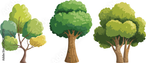 Three stylized tree illustrations with multicolored foliage, slender trunk, thick trunk, clustered trunks, nature art, environment design, botanical diversity