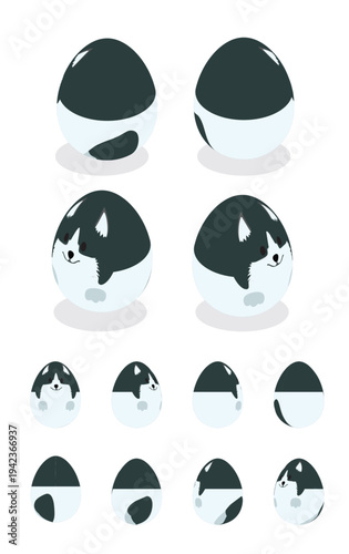 Egg Border Collie Dog Easter Isometric Spinning Animation Frame