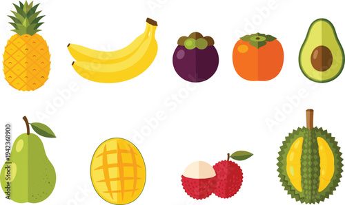 Tropical Fruit Vector Icon Set with Pineapple, Banana, Mangosteen, Persimmon, Avocado, Pear, Mango, Lychee and Durian for Healthy Food Design.
