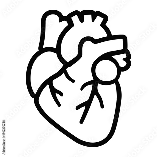 Anatomical illustration of the human heart showcasing mitocondrial function in cardiac muscle cells from a medical educational viewpoint