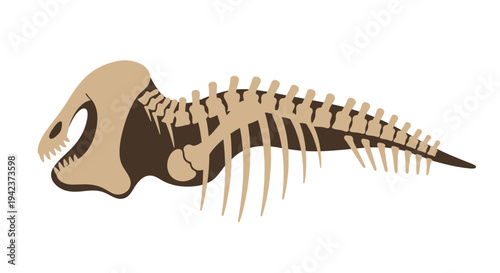 Dinosaur Skeleton Illustration in Beige and Brown Tones on White Background