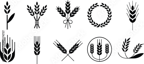 Wheat ear icon collection, agriculture grain symbols set, barley and cereal plant silhouettes isolated for farm food logo design