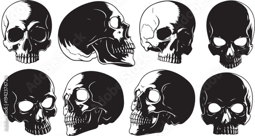 Collection of black and white skull illustrations in various angles