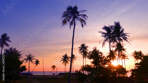 Sunrise or sunset beach n Sihouette coconut palm tree on colorful orange red pink sky over deep blue sea water n calm ocean wave in tropical summer or spring sunlight , NaKorn Sri Thammarat Thailand