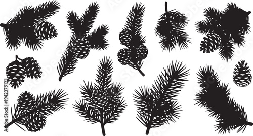 Black silhouettes of pine branches and cones illustration set
