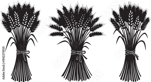 Three bundles of wheat in black and white illustration