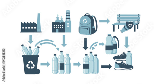 Plastic Bottle Recycling Process: From Waste to New Products