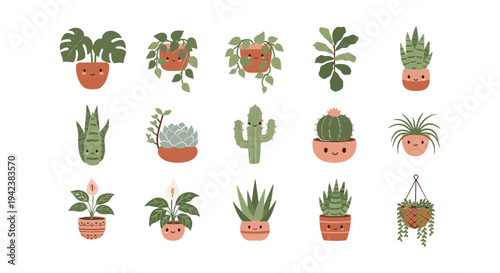 Collection of potted plants and cacti.