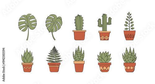 Collection of potted succulent plants variety.